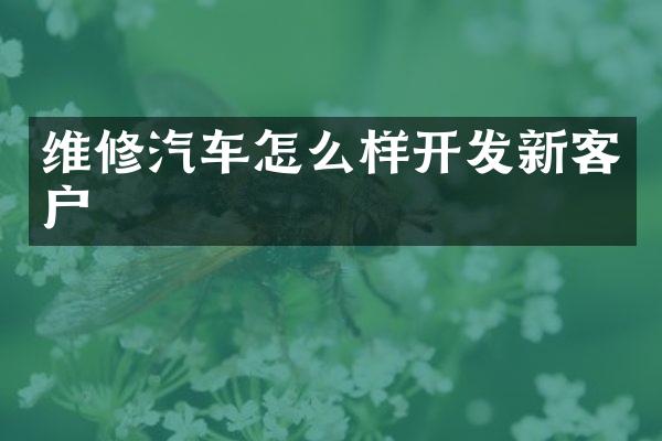 维修汽车怎么样开发新客户