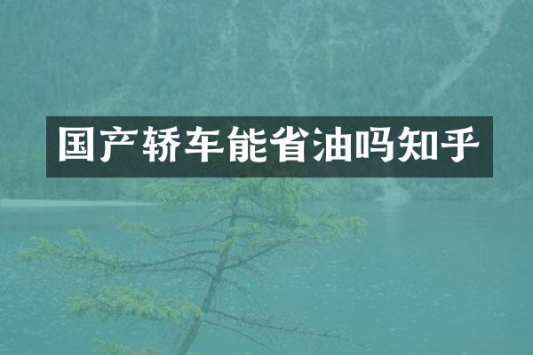 国产轿车能省油吗知乎