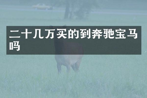 二十几万买的到奔驰宝马吗