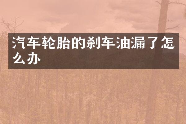 汽车轮胎的刹车油漏了怎么办