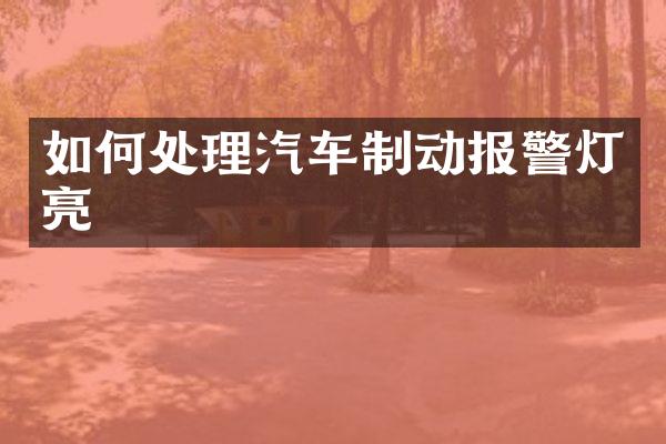 如何处理汽车制动报警灯亮