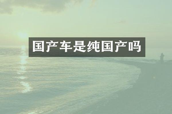 国产车是纯国产吗