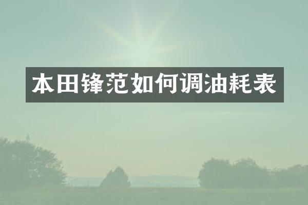 本田锋范如何调油耗表