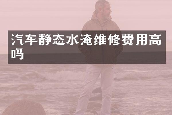 汽车静态水淹维修费用高吗