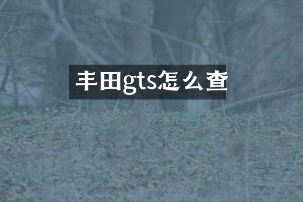 丰田gts怎么查