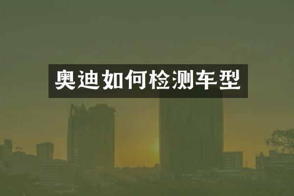 奥迪如何检测车型