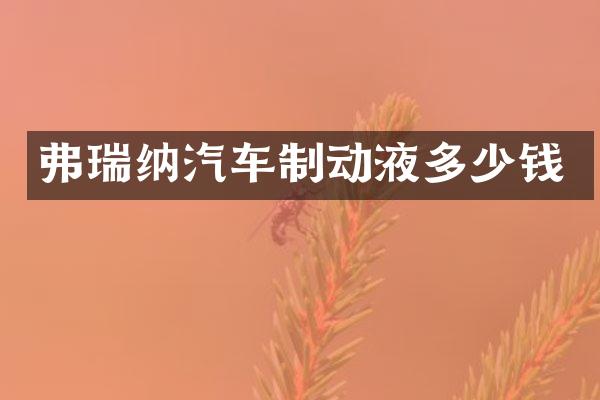 弗瑞纳汽车制动液多少钱
