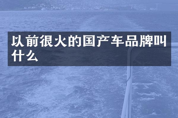 以前很火的国产车品牌叫什么