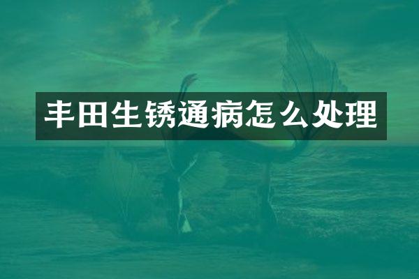 丰田生锈通病怎么处理