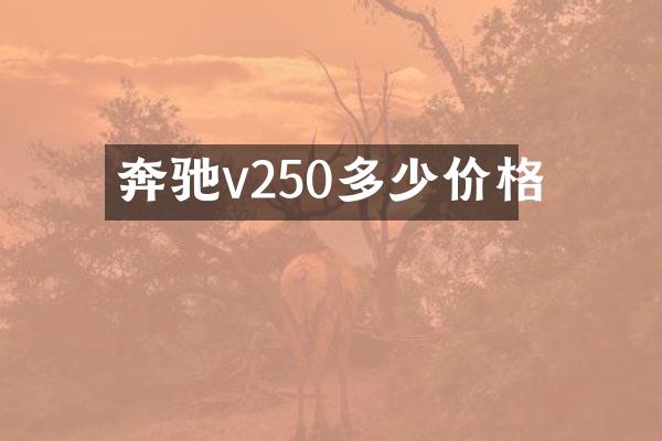 奔驰v250多少价格