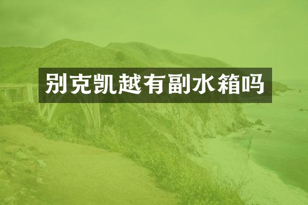 别克凯越有副水箱吗
