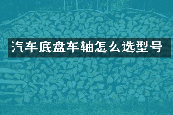 汽车底盘车轴怎么选型号