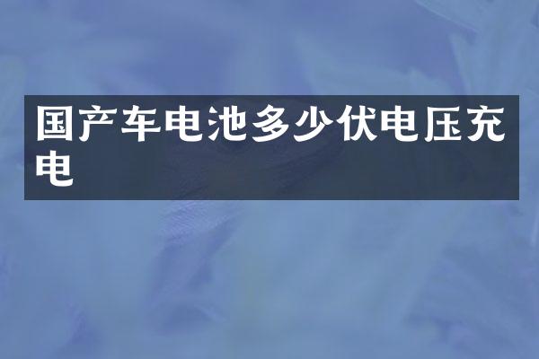 国产车电池多少伏电压充电