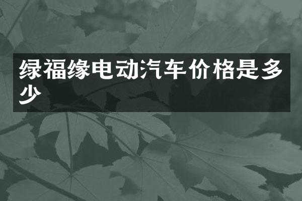 绿福缘电动汽车价格是多少