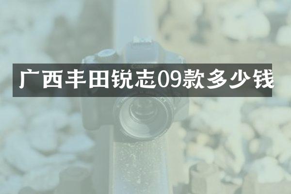 广西丰田锐志09款多少钱