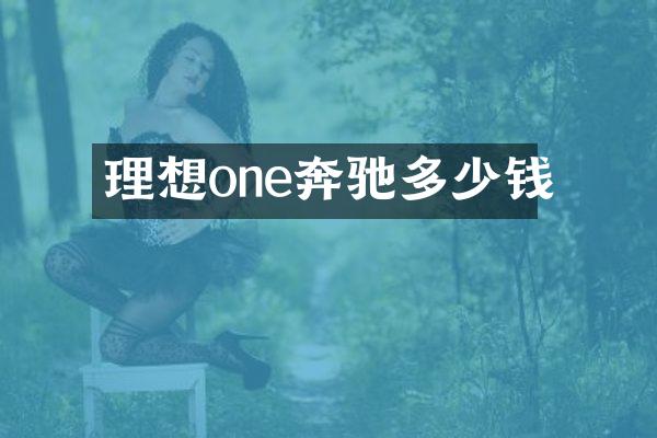 理想one奔驰多少钱