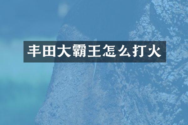 丰田大霸王怎么打火