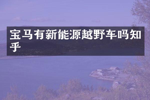 宝马有新能源越野车吗知乎