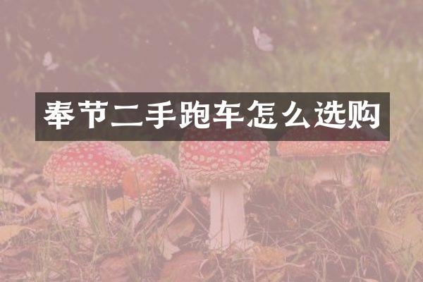 奉节二手跑车怎么选购