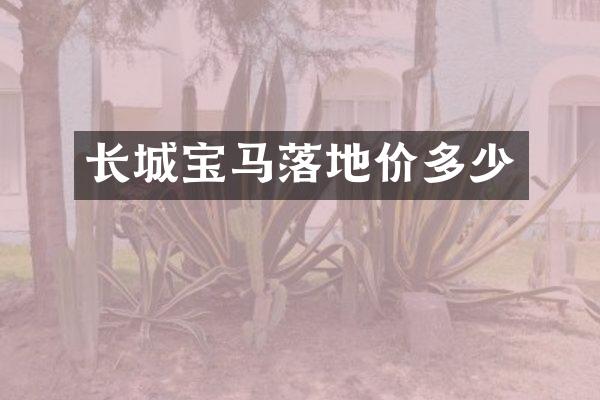 长城宝马落地价多少