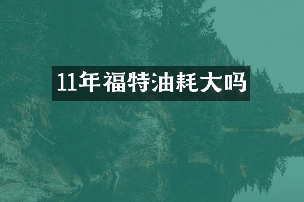 11年福特油耗大吗