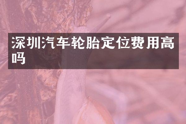 深圳汽车轮胎定位费用高吗