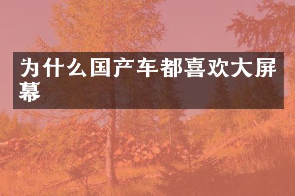 为什么国产车都喜欢大屏幕