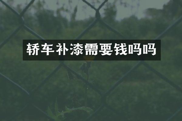轿车补漆需要钱吗吗