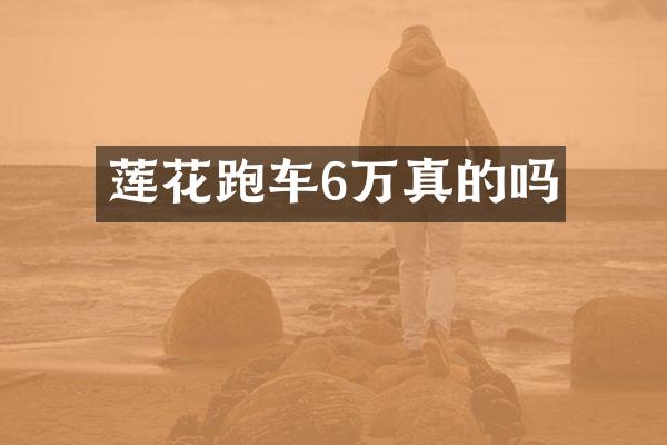 莲花跑车6万真的吗