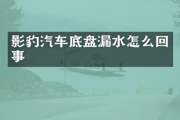 影豹汽车底盘漏水怎么回事