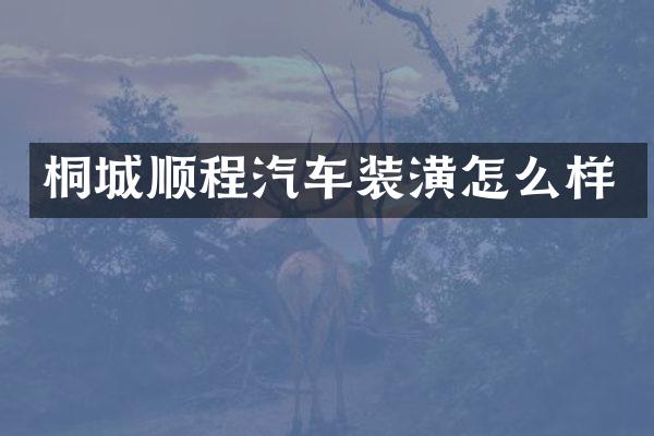 桐城顺程汽车装潢怎么样