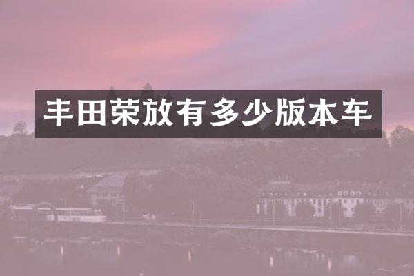 丰田荣放有多少版本车