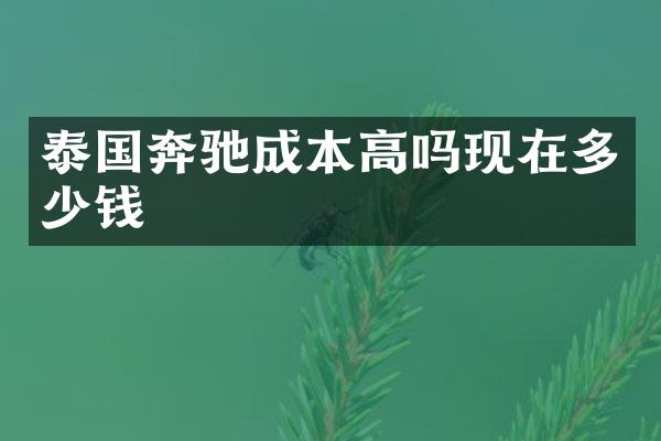 泰国奔驰成本高吗现在多少钱