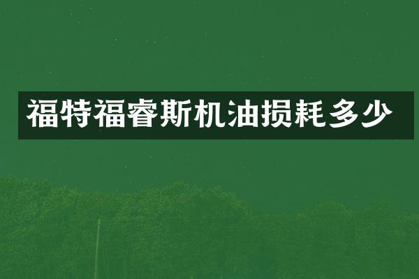 福特福睿斯机油损耗多少