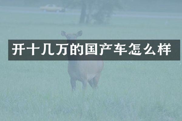 开十几万的国产车怎么样
