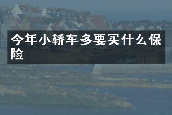 今年小轿车多要保险