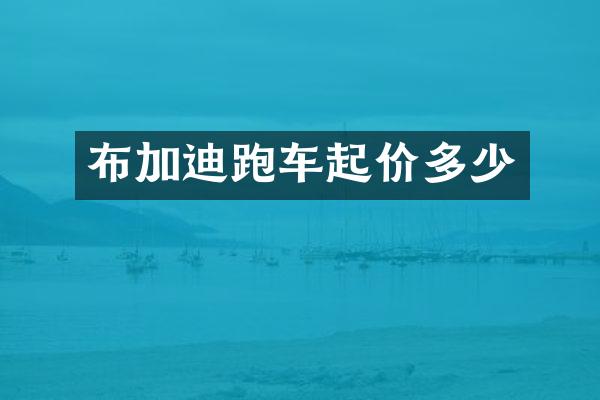 布加迪跑车起价多少