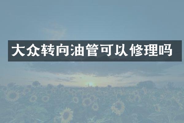 大众转向油管可以修理吗