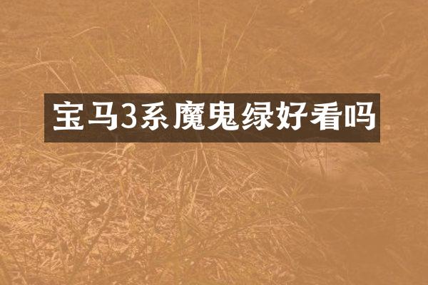 宝马3系魔鬼绿好看吗