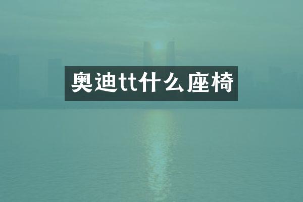 奥迪tt什么座椅