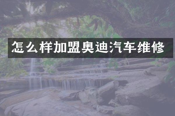 怎么样加盟奥迪汽车维修