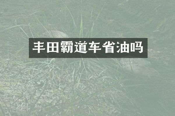 丰田霸道车省油吗