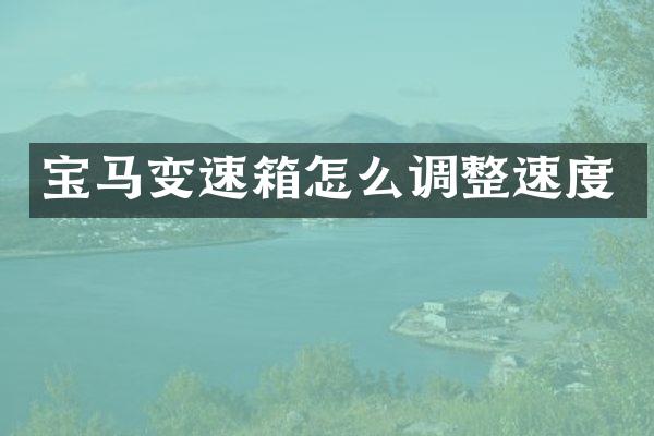 宝马变速箱怎么调整速度