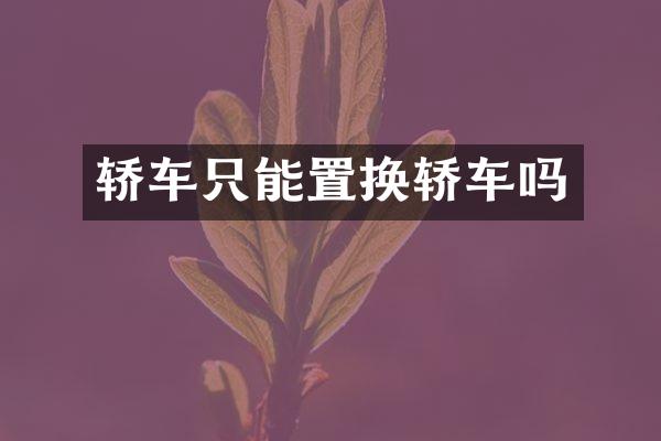 轿车只能置换轿车吗