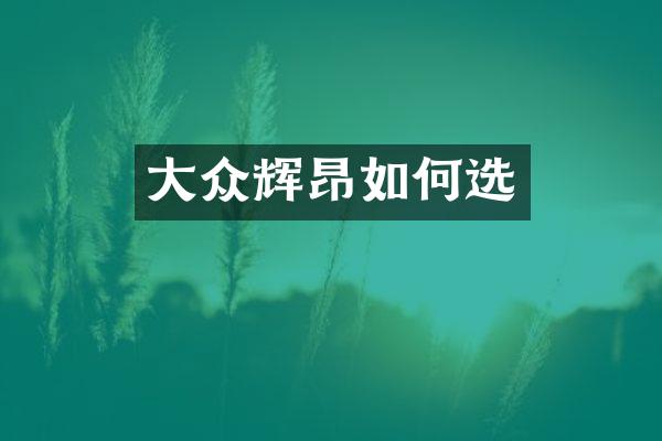 大众辉昂如何选