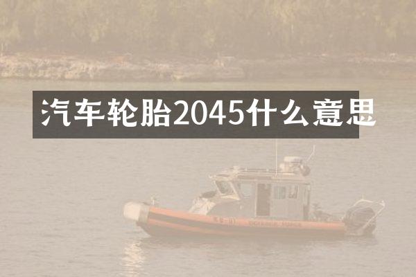 汽车轮胎2045什么意思