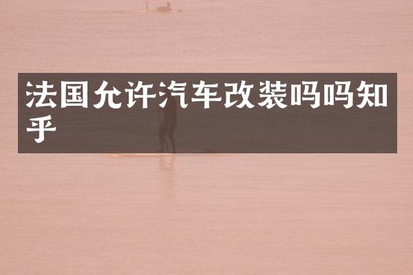 法国允许汽车改装吗吗知乎