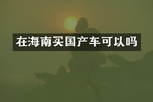 在海南买国产车可以吗