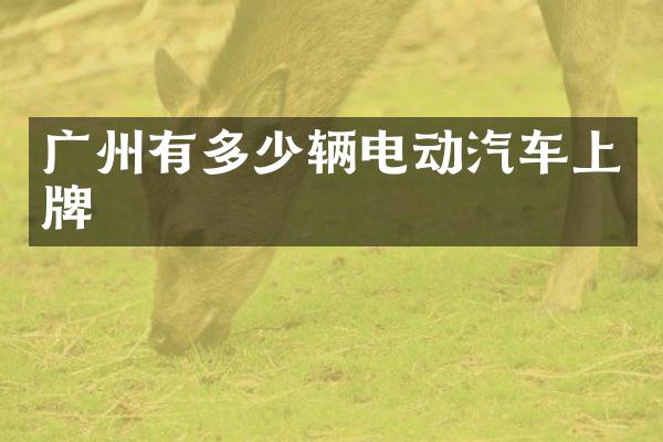 广州有多少辆电动汽车上牌
