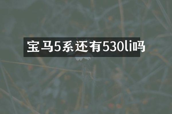 宝马5系还有530li吗